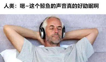 鄰居太太似乎被窗戶夾住了