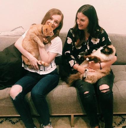 有情貓終成眷屬,這也太甜了吧 我酸了