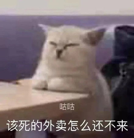 來一份可可愛愛的表情包吧 2021.09.04