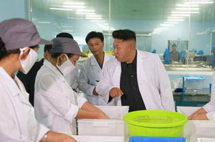 金正恩視察葛麻食品廠 贊工廠干凈像休養(yǎng)所