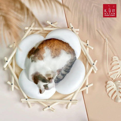 寵物用品設(shè)計 做設(shè)計師的寵物也太幸福了吧