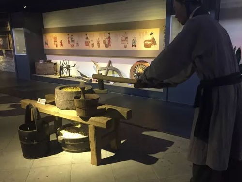 體驗優(yōu)惠 12月16日祖名工廠參觀 一起來做豆腐吧