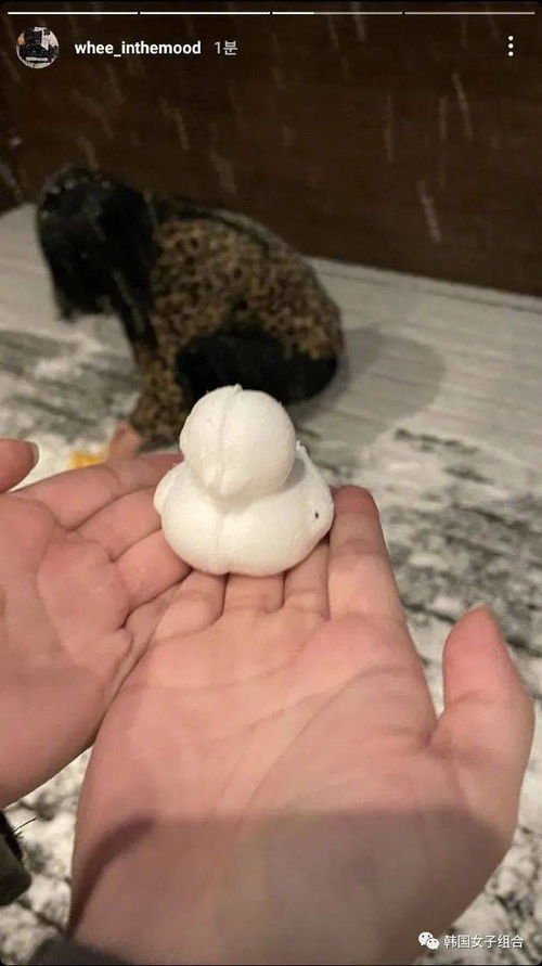 昨晚首爾大雪,在大雪中盡情玩耍的幾位女團愛豆