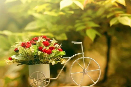 樓蘭絲語 這輩子,能愛就愛吧