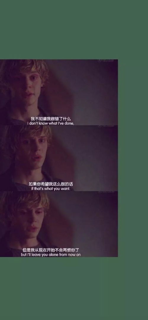 小頭像、壁紙與愛愛吧 數字時代的情感表達