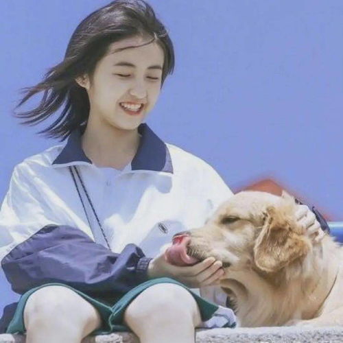 為什么《開端》里的趙今麥，以及“妹妹系”女主如此討人喜歡？