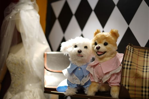 仿真玩偶 可愛表象下的情感迷思