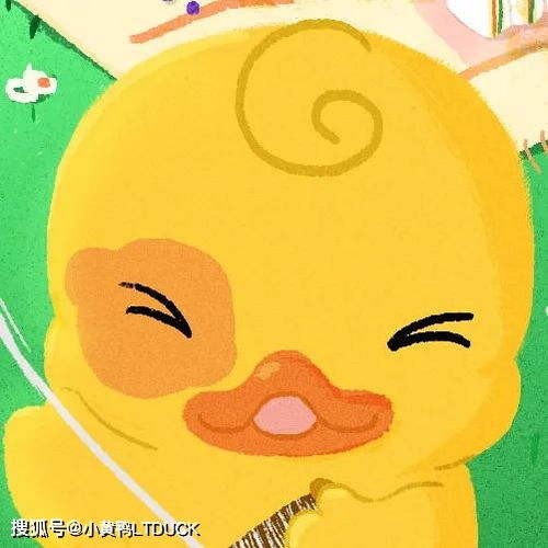 可愛鴨鴨寶寶頭像大賞 治愈萌趣新風尚