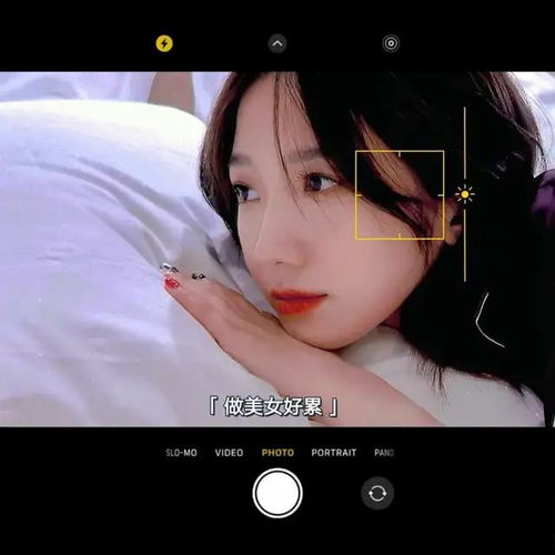 睡美人之夢，愿永不醒