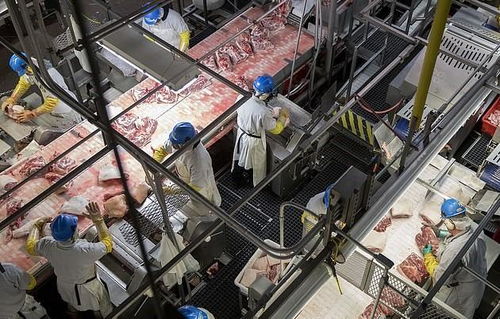 特朗普復工施壓下，肉類加工廠罷工加劇美國食品供應危機